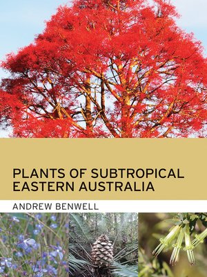 cover image of Plants of Subtropical Eastern Australia